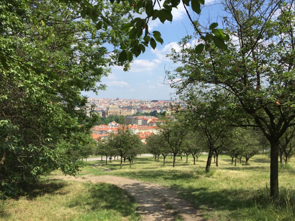 Photo d'un parc avec la vue sur la ville de Prague