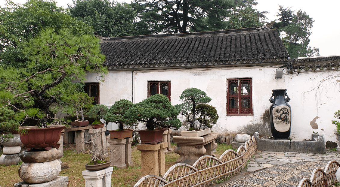 jardin bonzai suzhou