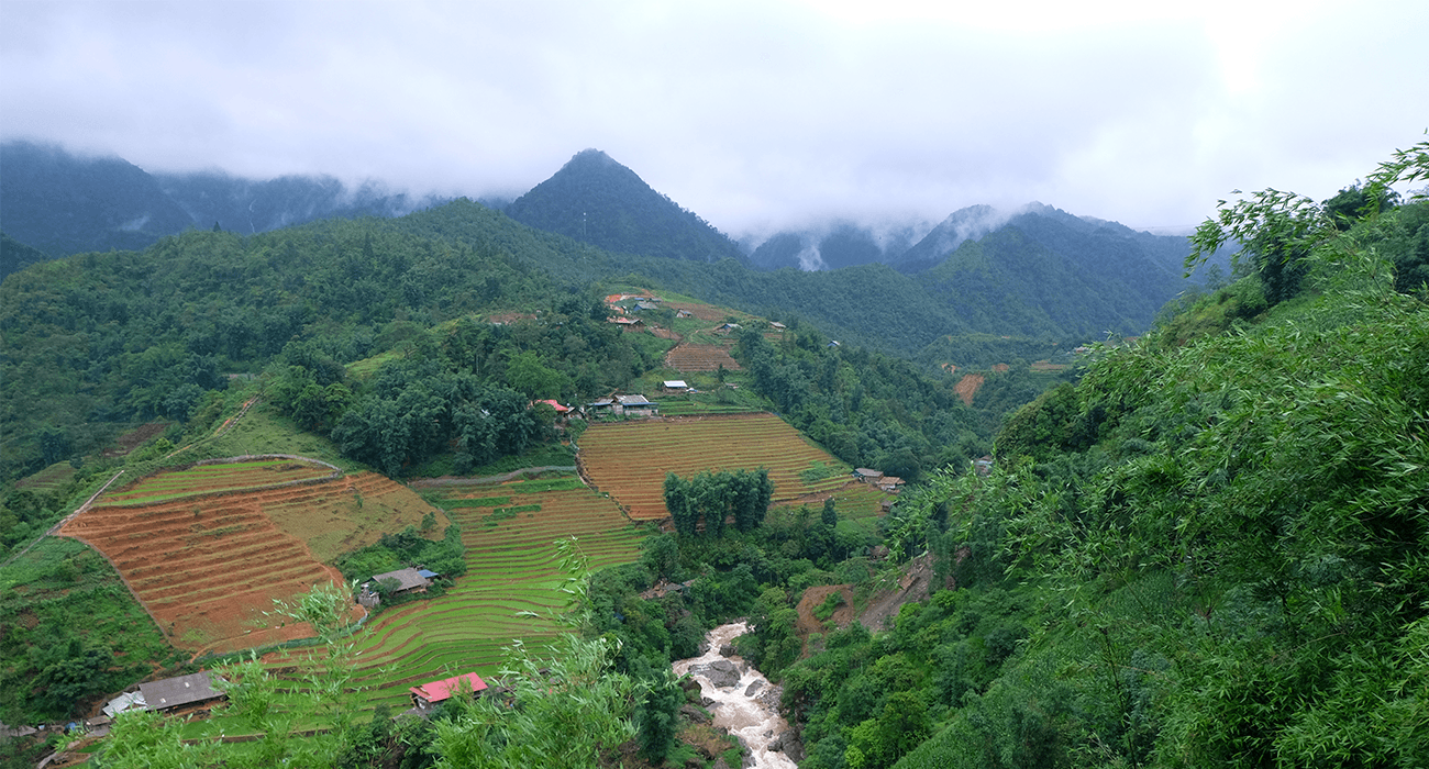 Photo des montagnes et de rizières en escaliers de Sapa